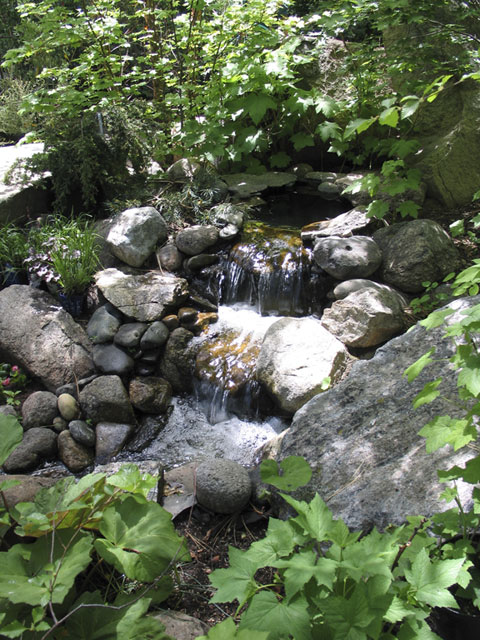 Serene water feature at Aspen Hollow Nursery