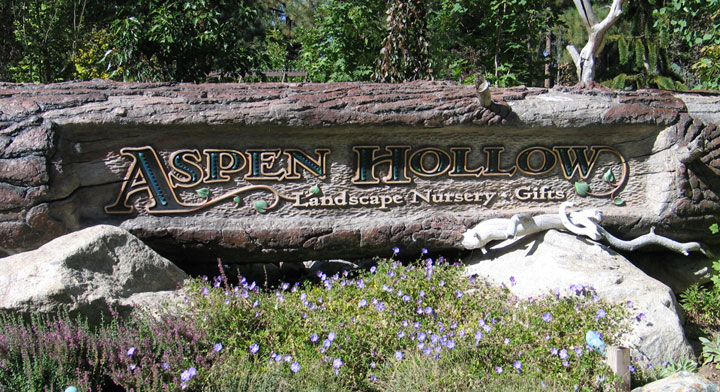 Aspen Hollow sign carved from a downed tree